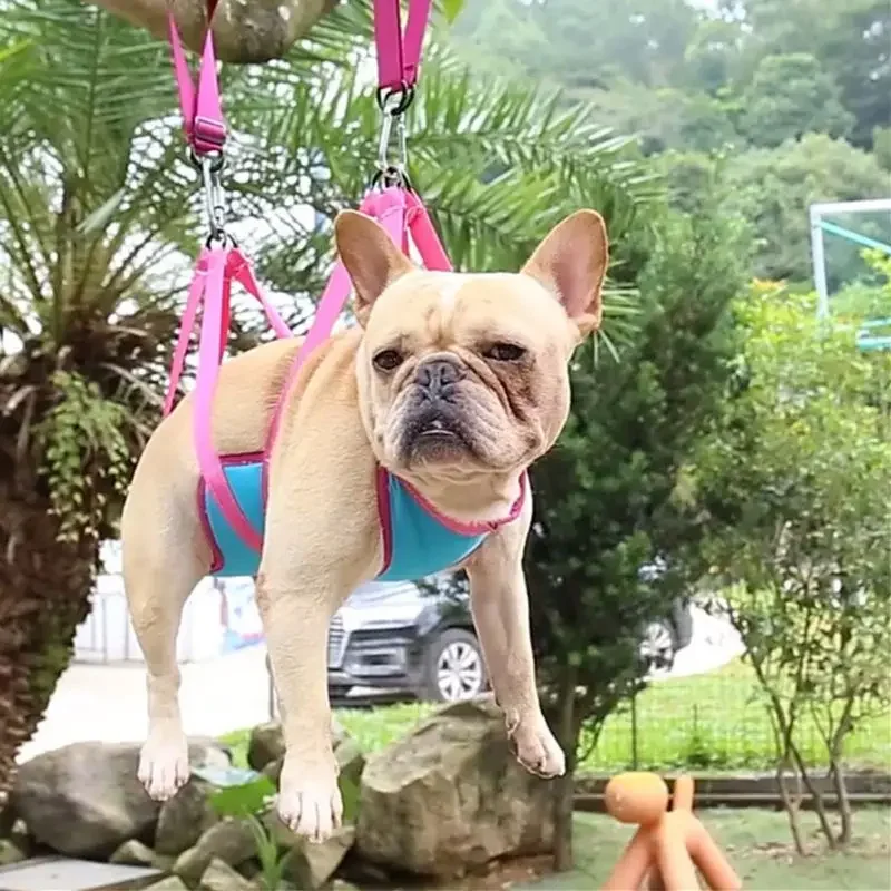 Pet Supplies Nail Trim - Tempat Tidur Gantung Perawatan Hewan Peliharaan