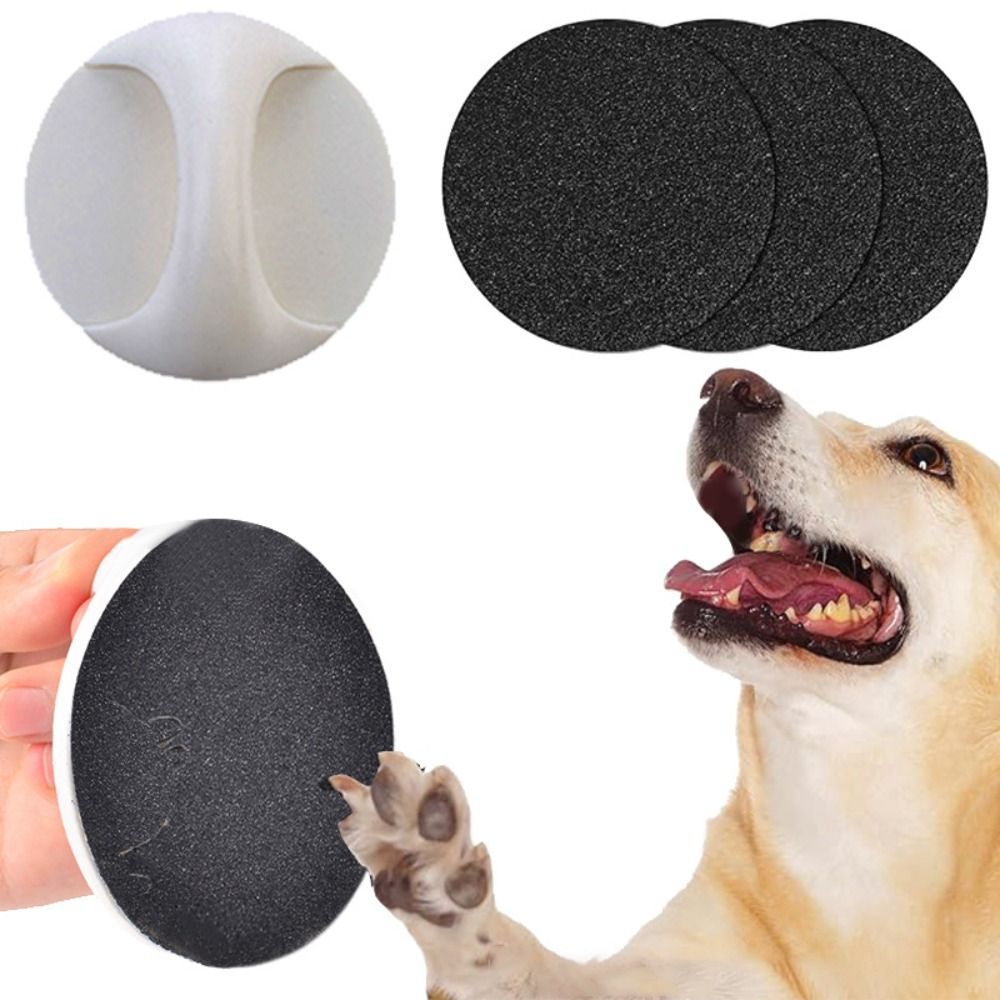 Pet Supplies Nail Trim - Perlengkapan Hewan Peliharaan Pengganti Kikir Kuku