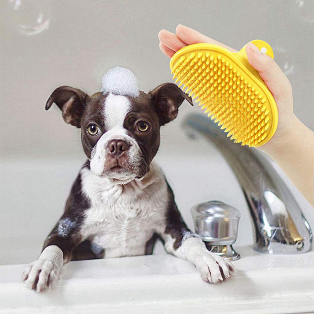 Sikat pembersih hewan pelihara - Pet Supplies Dropshipping ulasan dan harga