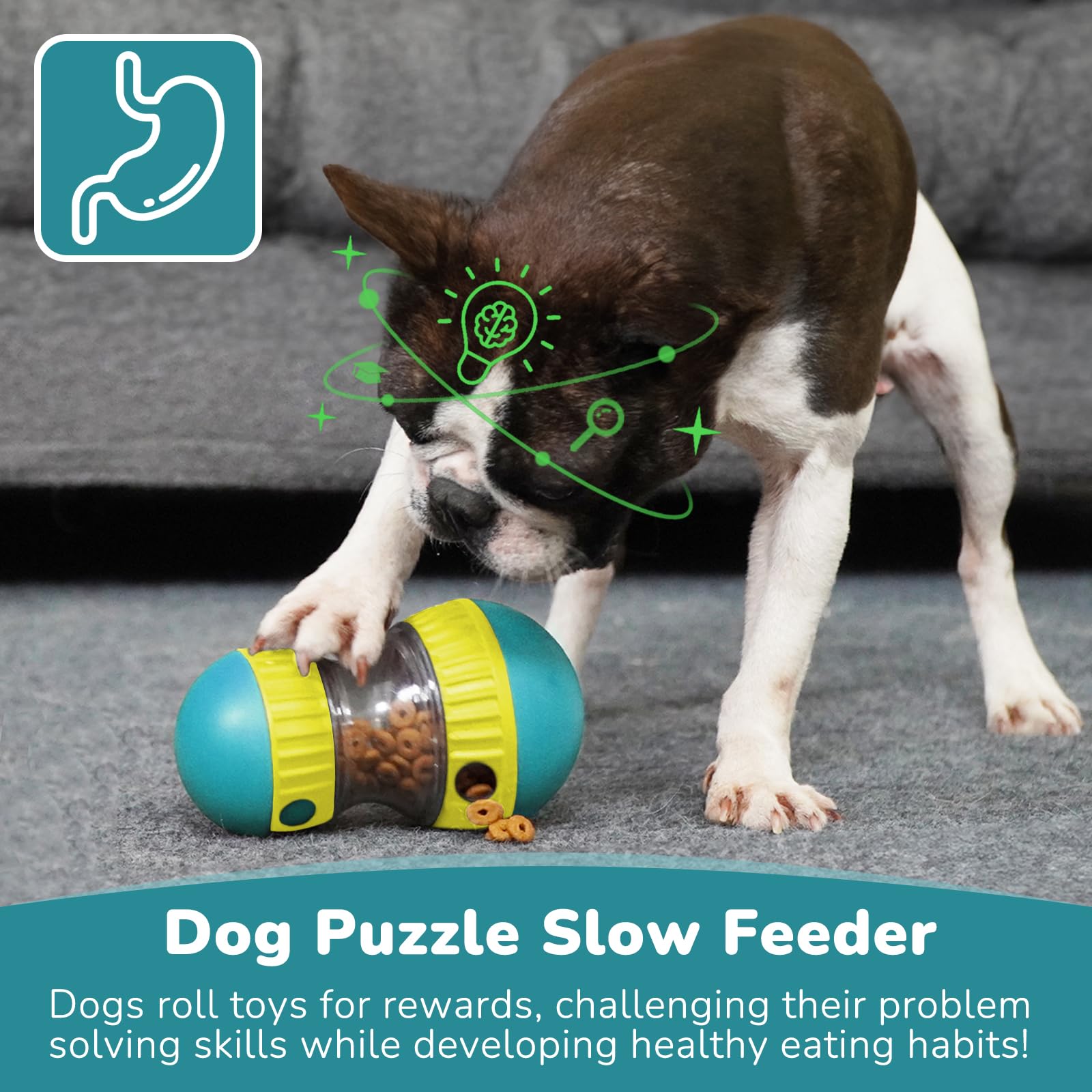 Mainan Anjing & Bola Pengumpan - Dog Treat Puzzle Toy ulasan dan harga