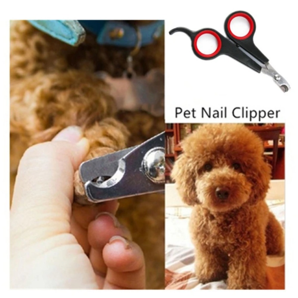 Pemotong Kuku Hewan Peliharaan - Pet Supplies Nail Trim ulasan dan harga