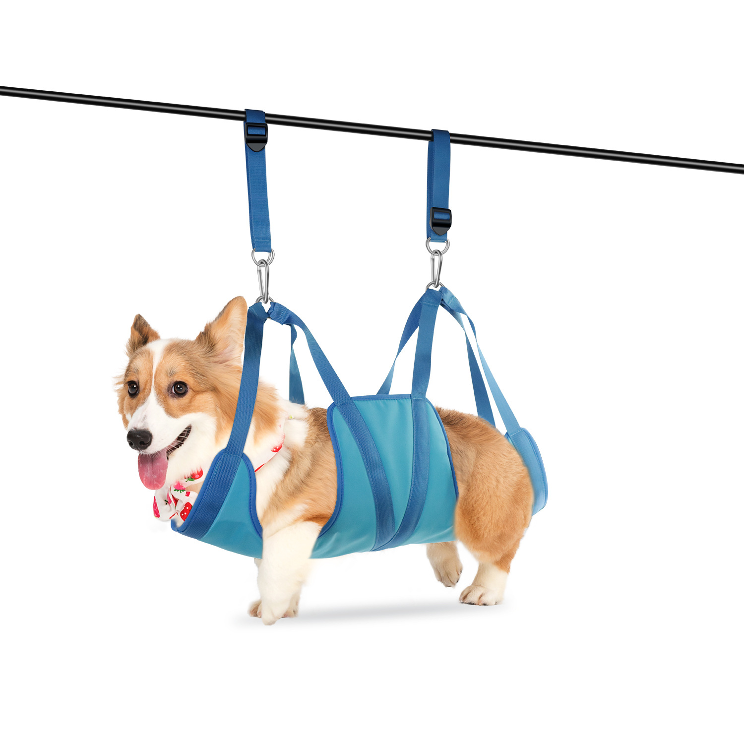 Tempat Tidur Gantung Perawatan - Pet Supplies Nail Trim ulasan dan harga