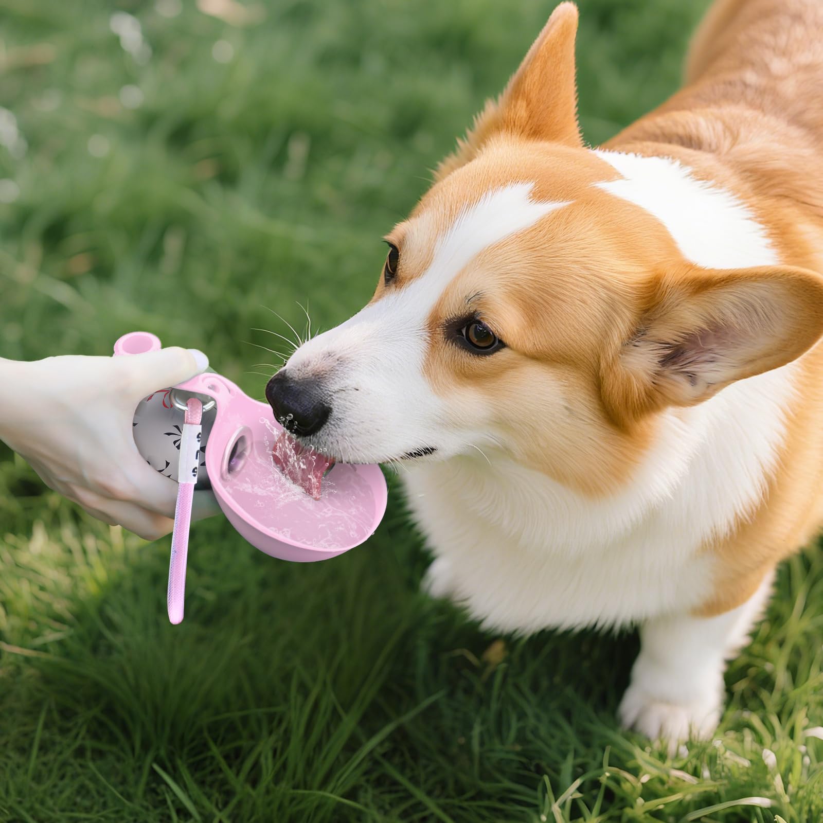 Botol Air Anjing Portabel 2-in - Pet Supplies Dropshipping ulasan dan harga