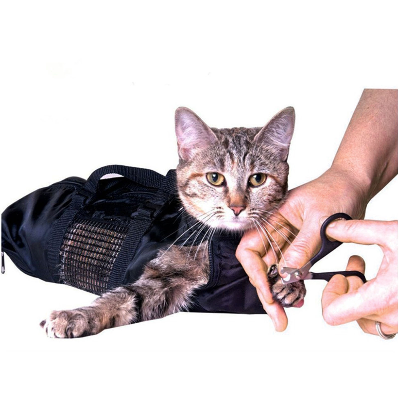 Tas Mandi dan Perawatan Kucing - Pet Supplies Nail Trim ulasan dan harga