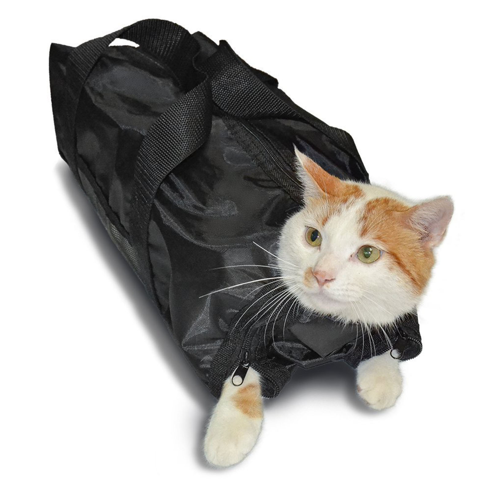 Tas Mandi dan Perawatan Kucing - Pet Supplies Nail Trim ulasan dan harga