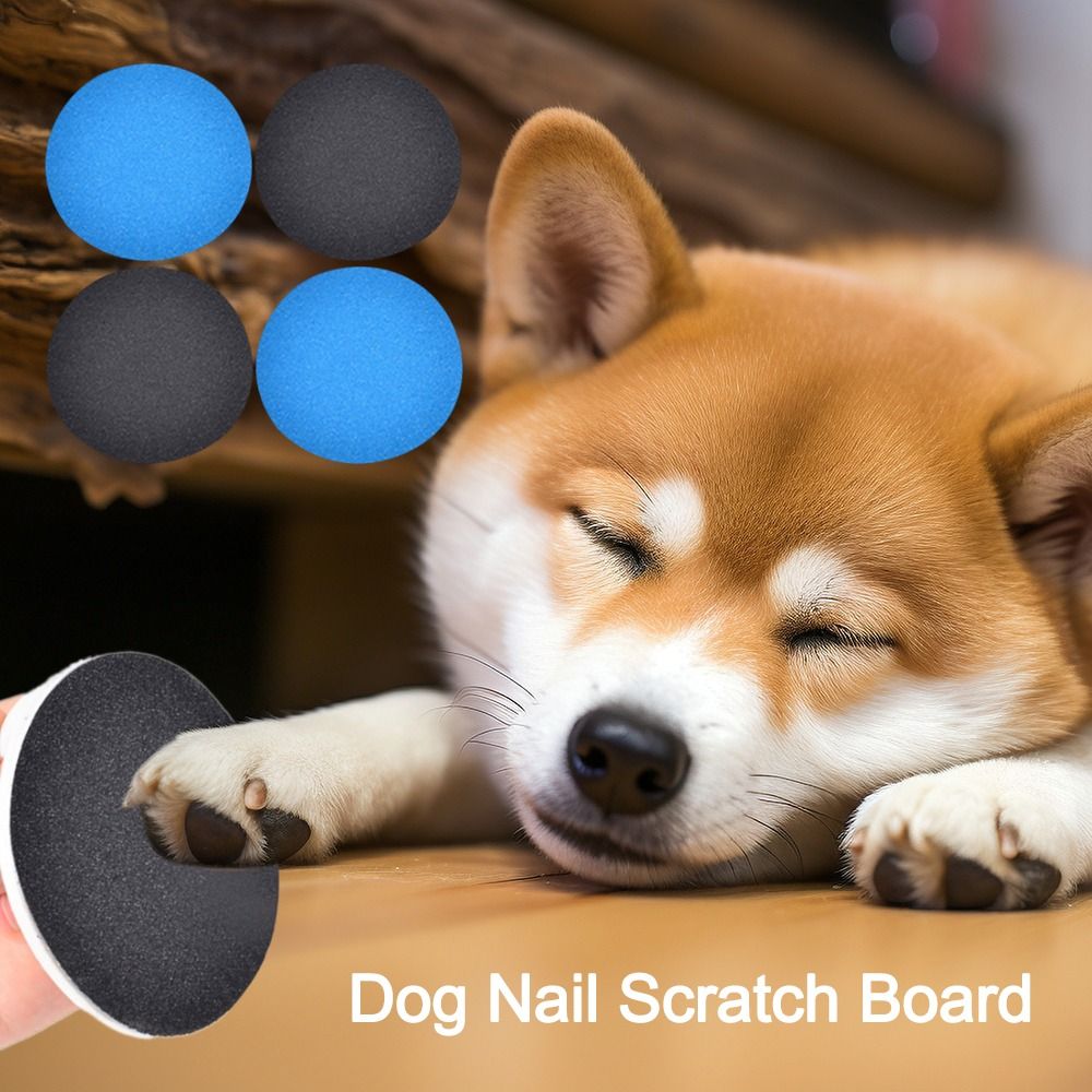 Perlengkapan Hewan Peliharaan  - Pet Supplies Nail Trim ulasan dan harga