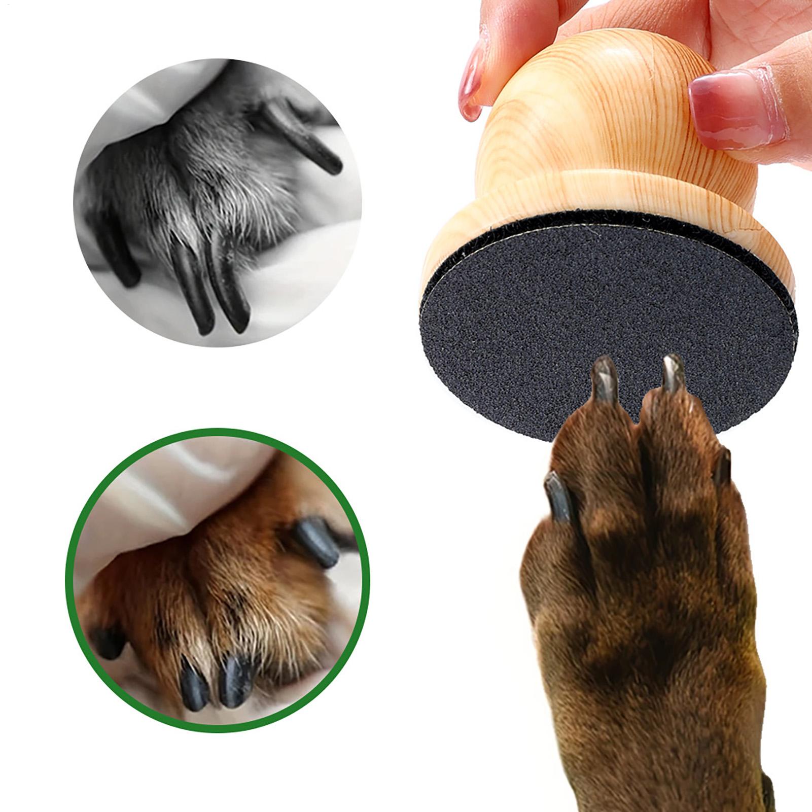 Alat Pengikir Kuku Anjing dan  - Pet Supplies Nail Trim ulasan dan harga