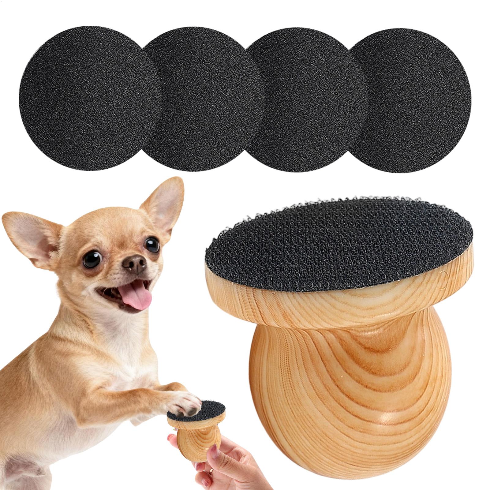 Alat Pengikir Kuku Anjing dan  - Pet Supplies Nail Trim ulasan dan harga