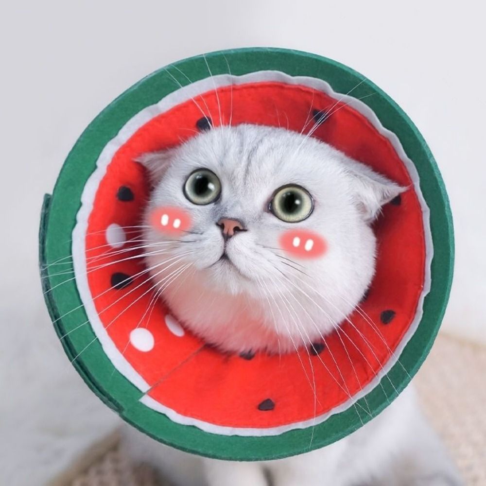 Kerah Elizabethan Lembut Motif - Pet Supplies Nail Trim ulasan dan harga