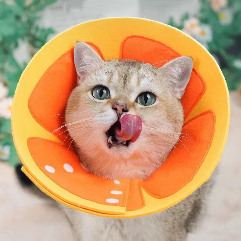 Kerah Elizabethan Lembut Motif - Pet Supplies Nail Trim ulasan dan harga