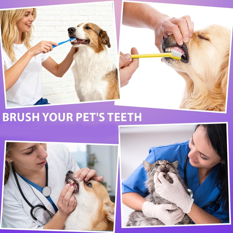 AB66-Alat Kebersihan Mulut Anj - Dog Paw Cleaner ulasan dan harga